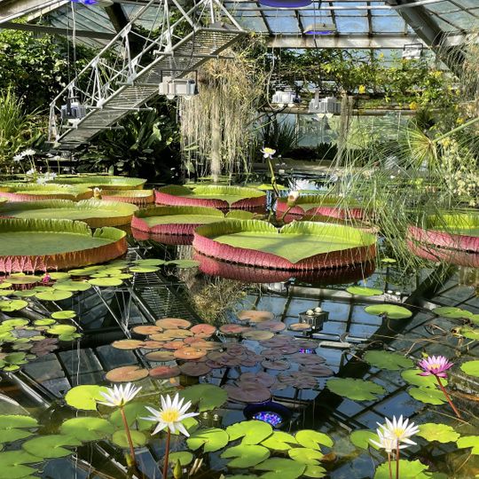 Saint Petersburg Botanical Garden