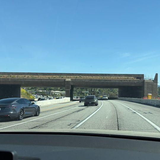 Wallis Annenberg Wildlife Crossing