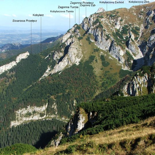 Nyża przy Schodkach