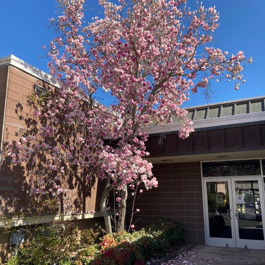 Sierra College