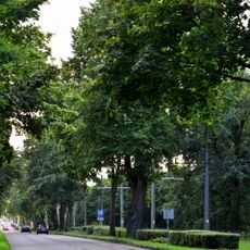 Walczaka Street in Gorzów Wielkopolski