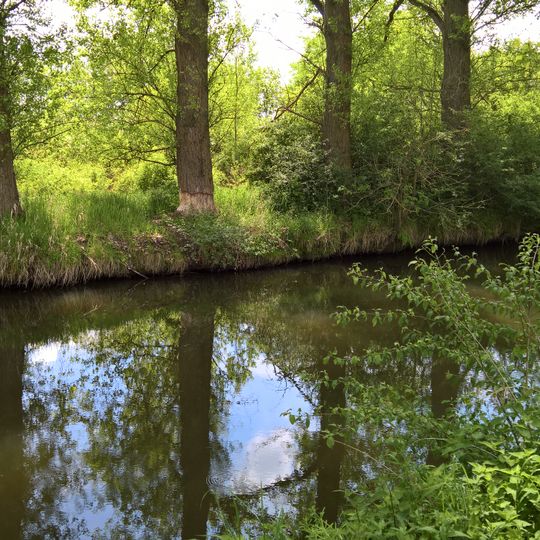 Auenverbund Untere Gersprenz