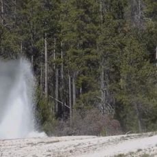 Labial Geyser