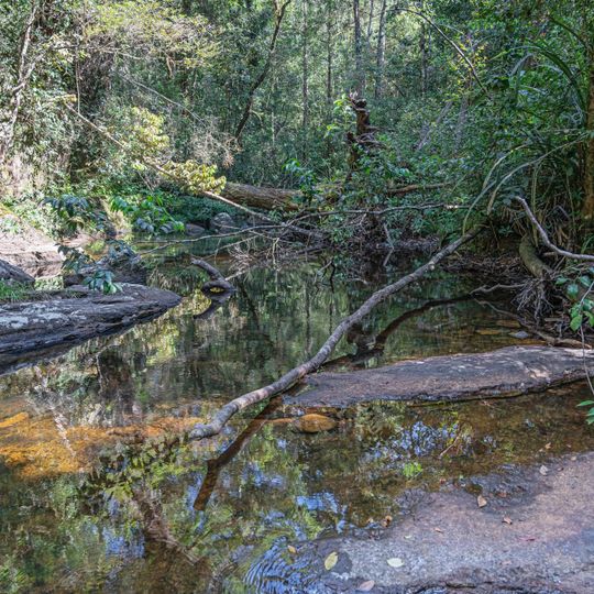 Riserva forestale di Sinharaja