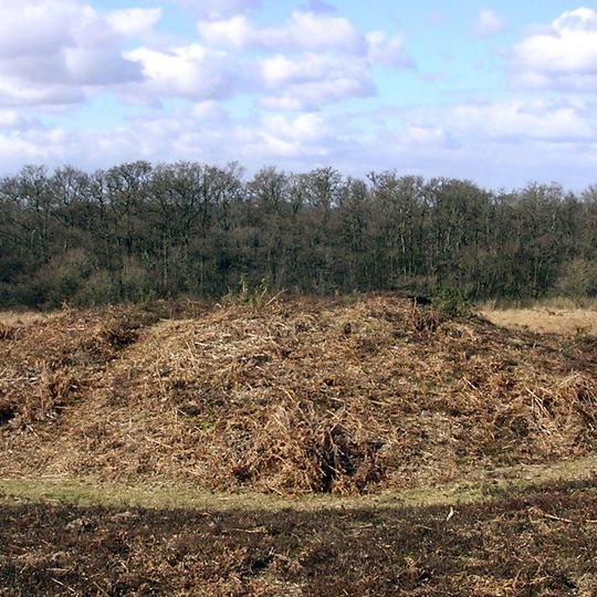 Bowl barrow 250m north of Hacking Boat House