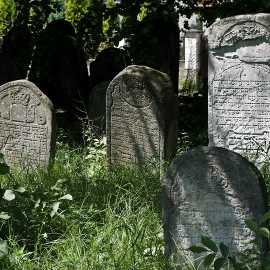Jewish cemetery in Sokołów Małopolski