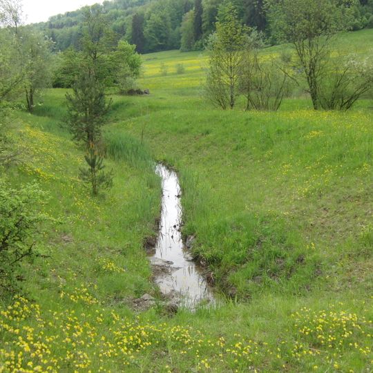 Dättnauerbach