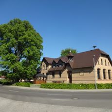 Naturdenkmal Flatterulme Peickwitz