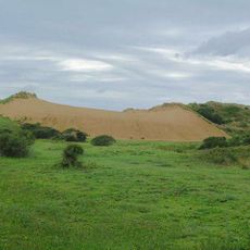 Braunton Burrows