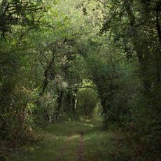 Réserve naturelle nationale des vallées de la Grand-Pierre et Vitain