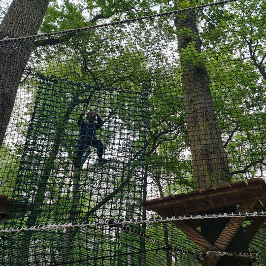 Parcours Aventure dans les arbres Branches & Loisirs