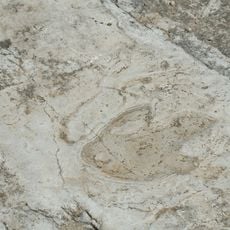 Yacimiento Tambuc Este