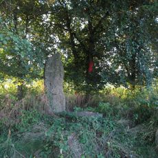 Menhir nad Nýřany nedaleko Pankráce