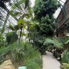 Histoire des Plantes