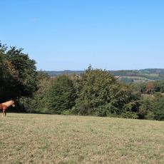 Selkinghauser Bachtal