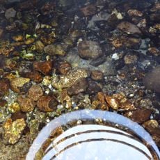 Spring of Holy Trinity