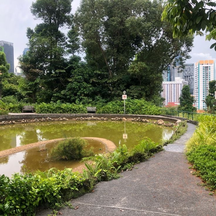 Parc City de Pearl Hill