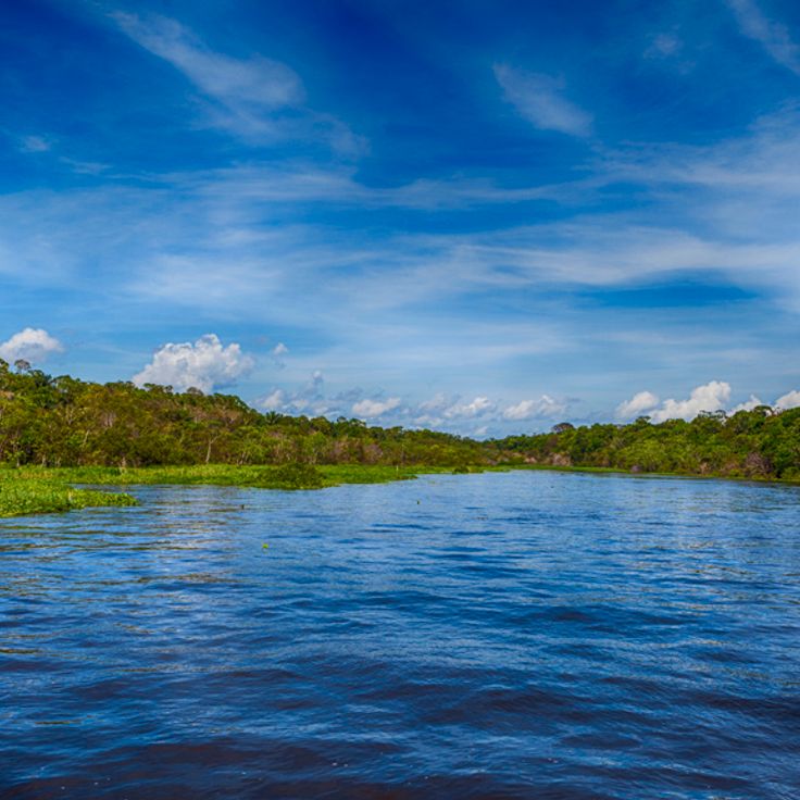 Parque Nacional da Amazônia