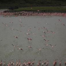 Lake Momella Kubwa