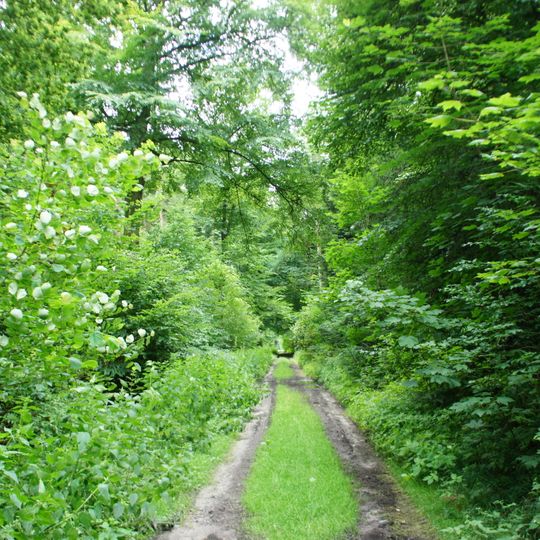 Dingsteder Gehäge, Twiestholz, Hatter Holz