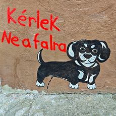 Kérlek Ne a falra