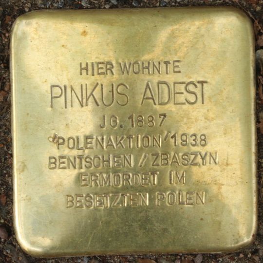 Stolperstein en memoria de Pinkus Adest