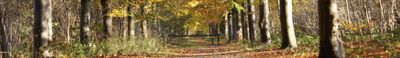 Panoramic View 1