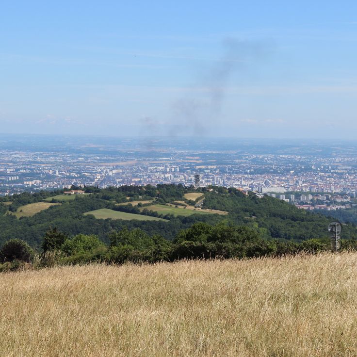 Metropolis of Lyon