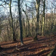 Wotton Hill SSSI