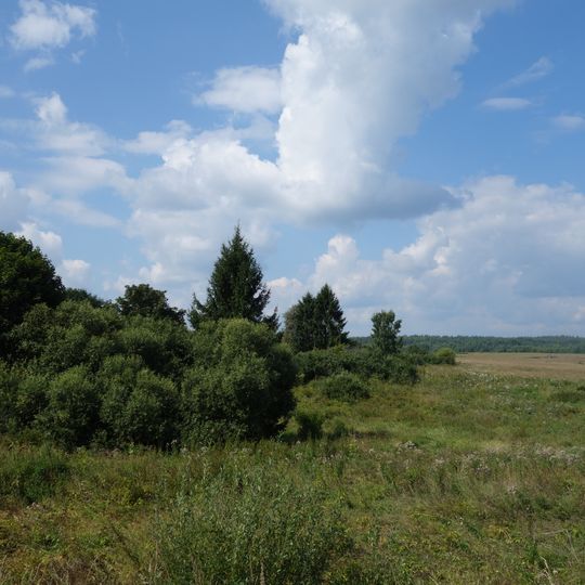 Raïon de Novossokolniki