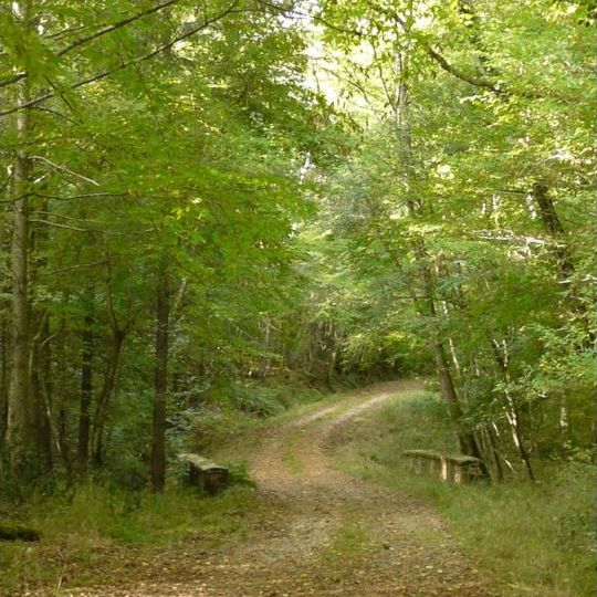 Forêt domaniale de Grésigne