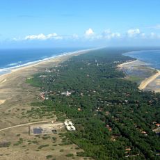Cap Ferret