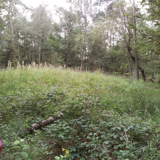 Terrein waarin twee grafheuvels