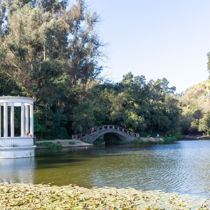 Viña del Mar Botanical Garden