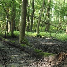Bažantnice u Loukova