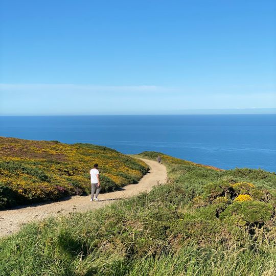 Howth Cliff Walk