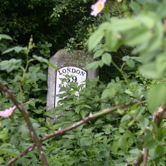 Trinity Hall milestone 12