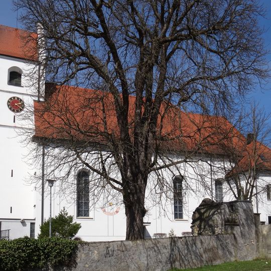 Baumgruppe am kath. Pfarrhaus