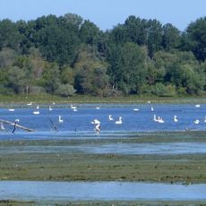 Riserva naturale Vallazza