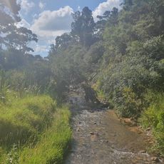 Tapapakanga Stream