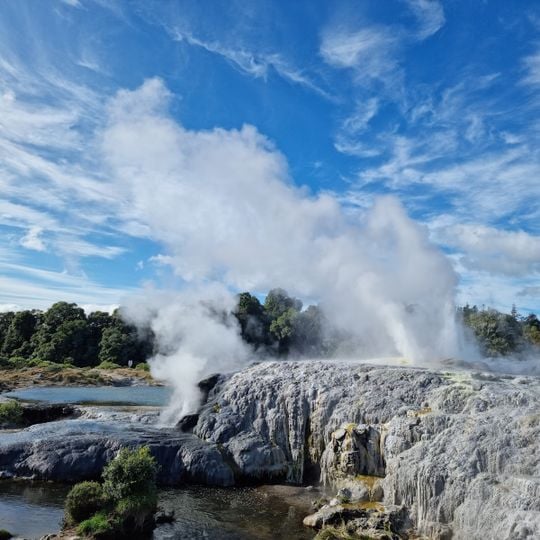 Te Puia Thermal Park
