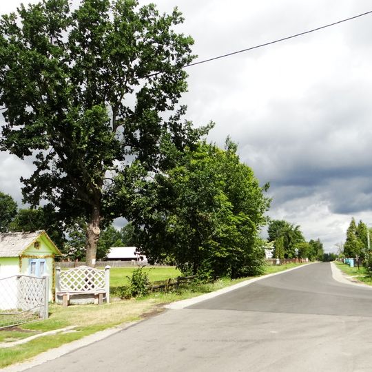 Maziarnia, Nisko County