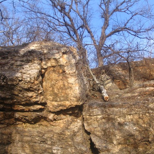 Wildcat Glades Conservation and Audubon Center