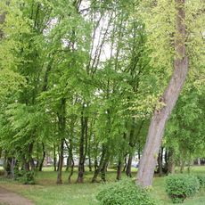 Schubertplatz (Quedlinburg)