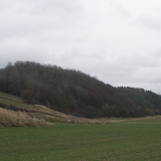 Broczówka nature reserve