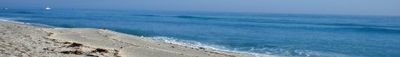 Panoramic View 1