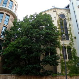 Katedra Matki Boskiej Libańskiej w Paryżu
