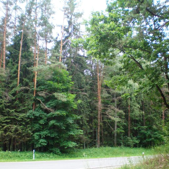 Comune di Kazlų Rūda