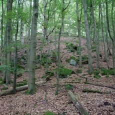 Naturschutzgebiet Auerberg bei Schwarz