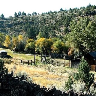 Riddle Ranch